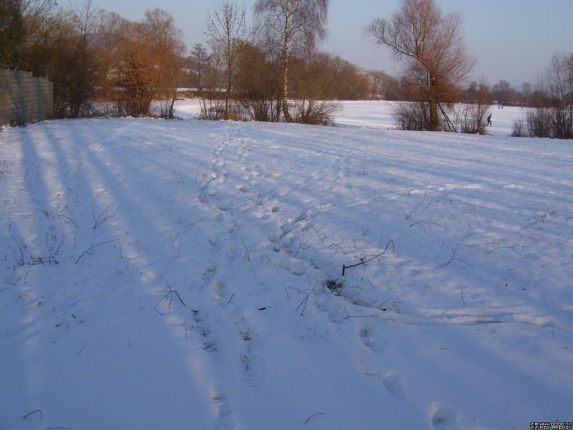 Zeltplatz unter 10 cm Schnee