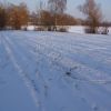 Zeltplatz unter 10 cm Schnee