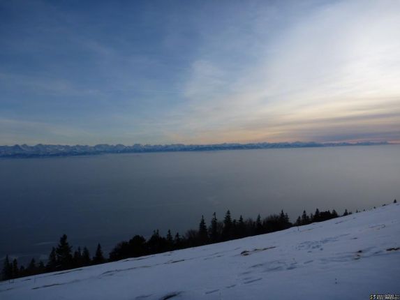 Bild abends am 23.01.2010 um 16:44 von der Hasenmatt.
Man sieht das Schweizer Mittelland und dahinter die Alpen.
