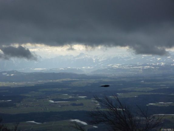 Bild um 11:48 mit einer vorbeifliegenden Dohle, dem Mittelland und den leuchtenden Alpen in Föhnlage. Die schwarzen Wolken werden vom Sturm rasend schnell vorbei getrieben.