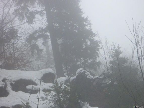 Bild um 09:47. Aufstieg bei Nebel.