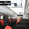 (2) Zug Narita - Tokyo