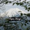 (10) Mount Fuji San